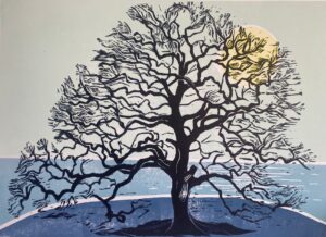 Tree in Sunlight: £45