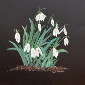 Snowdrops: £70
