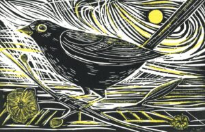 Morning Blackbird!: £50
